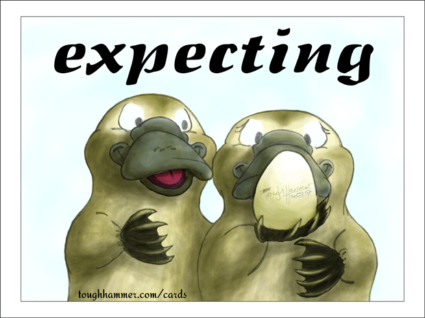2 platypus with a paltypus egg: &ldquo;expecting&rdquo;