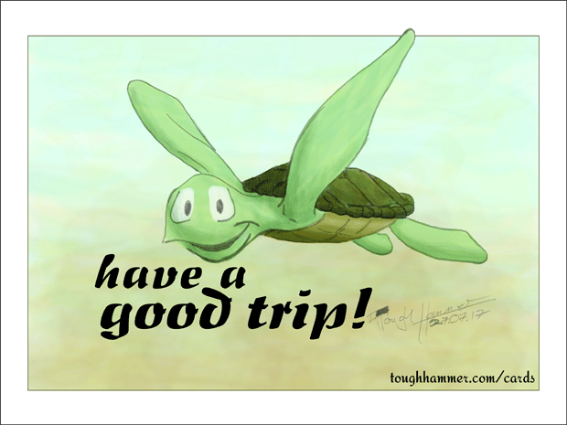 Swimming turtle: &ldquo;have a good trip!&rdquo;