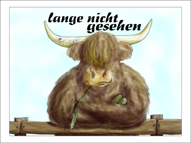 Langhaariger Schottischer Hochlandbulle lehnt mit verschr&aauml;nkten Armen &uuml;ber Zaun lehnt: &ldquo;lange nicht gesehen&rdquo;