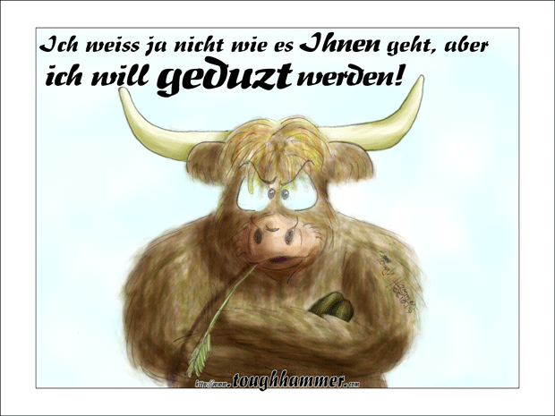 Schottischer Hochlandbulle mit verschr&auml;nkten Armen: &ldquo;Ich weiss ja nicht wie es Ihnen geht, aber ich will geduzt werden!&rdquo;