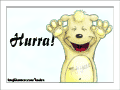 Hurra!
